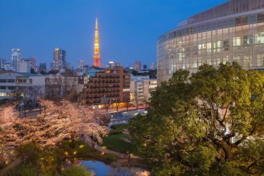 Tokyo Kulesi ve Sakura kiraz çiçeği