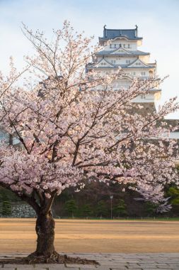 Japonya Himeji Kalesi 