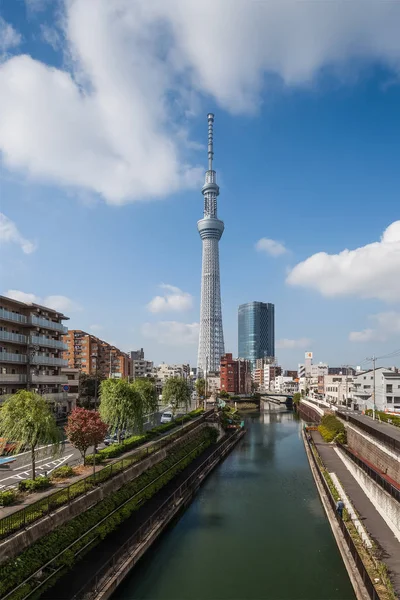 Tokyo Sky Tree güneşli sabah at — Stok fotoğraf