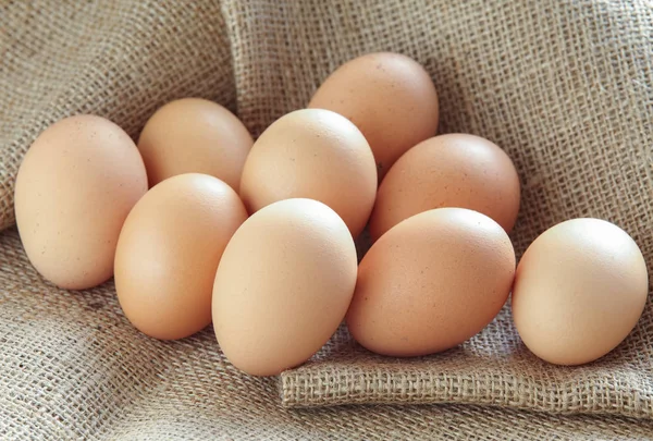 Куча коричневых яиц — стоковое фото