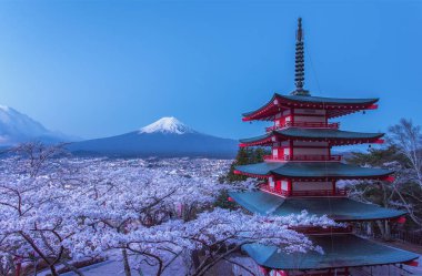 Güzel manzara dağ Fuji Japonya 