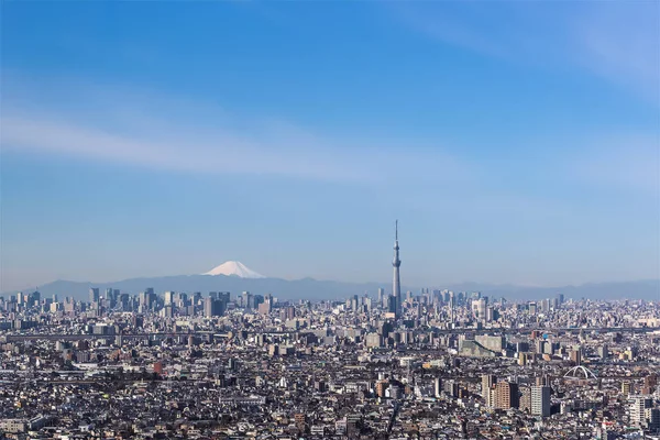 Tokyo centre-ville et Montagne Fuji — Photo