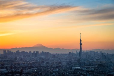 Güzel Tokyo gün batımı cityscape
