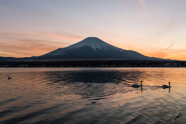Vue sur le mont Fuji et le lac Yamanakako — Photo