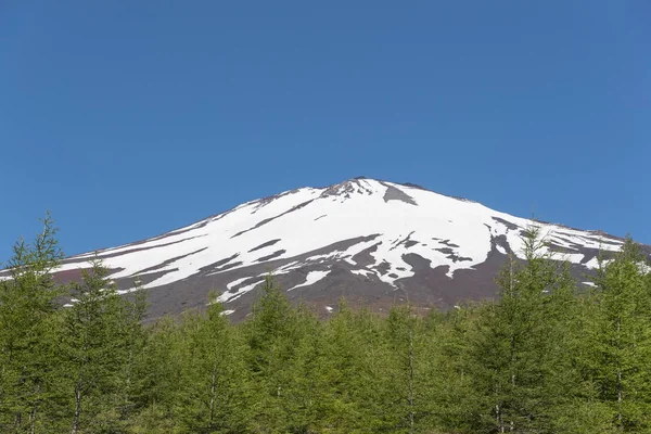 Ferme à thé et Mont Fuji — Photo