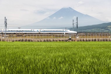 Shinkansen hızlı tren