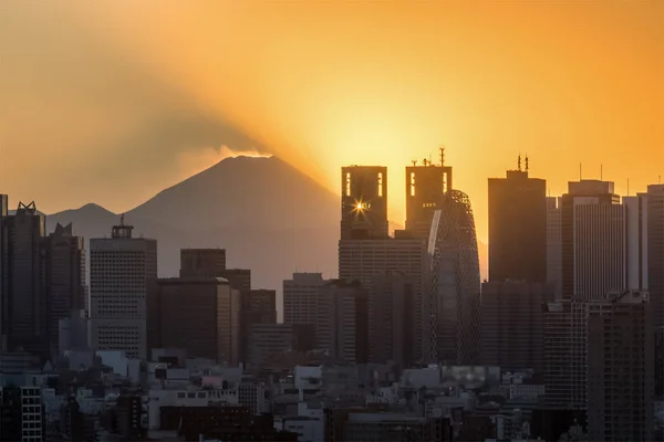 Tokyo byggnader med toppen av berget — Stockfoto