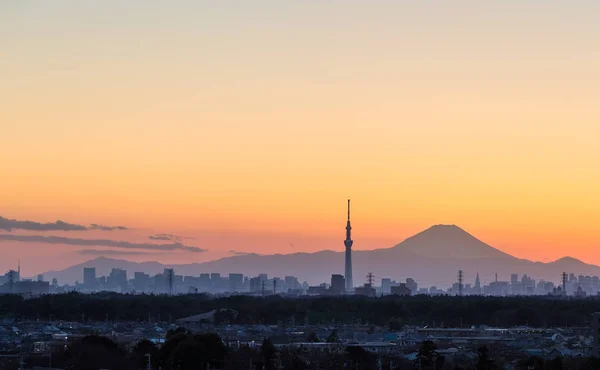 Skytree 和富士山在那黄昏时分在冬季 — 图库照片