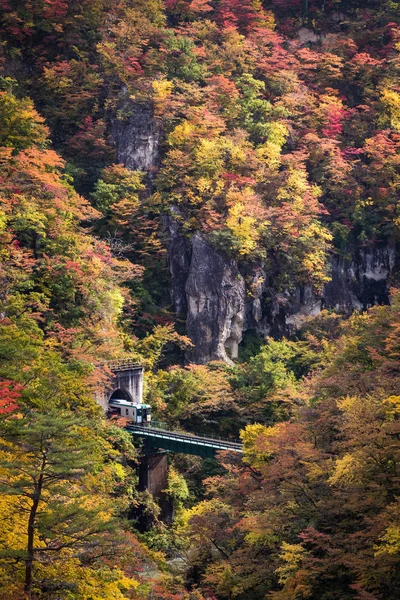 秋の鳴子峡で陸羽線 — ストック写真