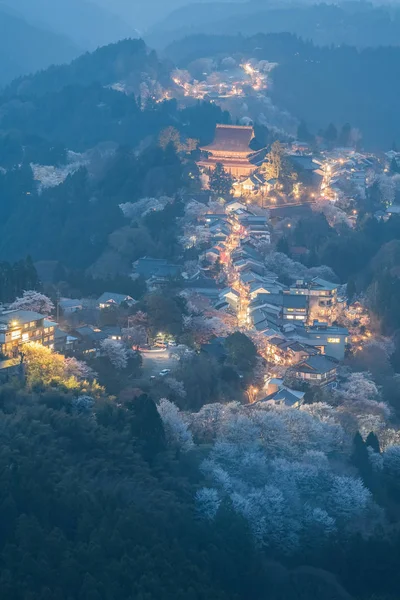 Yoshinoyama Sakura Cherry Blossom Rozsvítí Hoře Jošino Nara Prefektura Japonsko — Stock fotografie