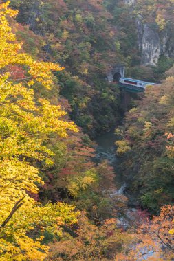 Rikuu satırında değil gorge Güz