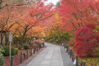 Eikando Budizm tapınakta Kyoto Güz