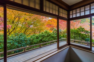 Ruriku sonbahar Kyoto'da tapınakta içinde