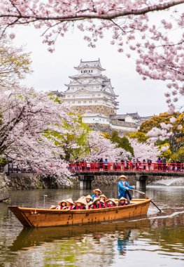 Japonya Himeji Kalesi, beyaz Heron Kalesi güzel sakura kiraz çiçeği sezonu