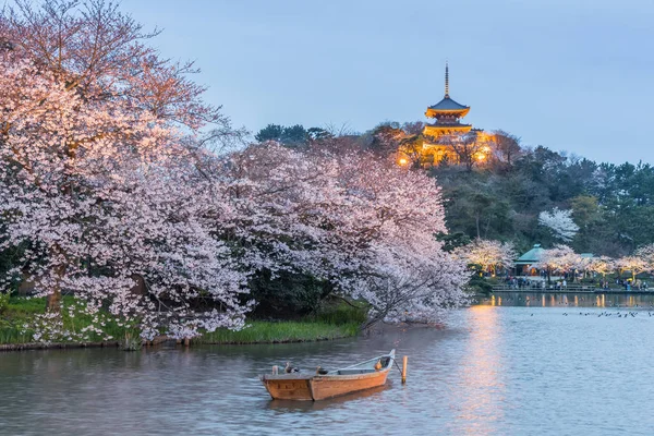 Jardín Yokohama Sankeien Jardín Tradicional Típico Japonés Sakura Florecen Con — Foto de Stock