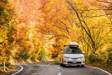 Aomori bölgesi sonbahar satırına Hakkoda altın
