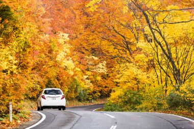 Aomori bölgesi sonbahar satırına Hakkoda altın