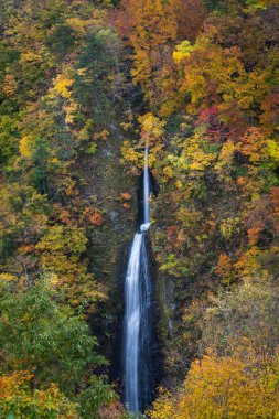 Tasunomon şelale kırmızı Hinoemata mura Fukushima Japonya bırakır 