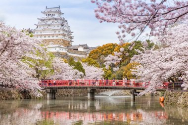 Japonya Himeji Kalesi, beyaz Heron Kalesi güzel sakura kiraz çiçeği sezonu