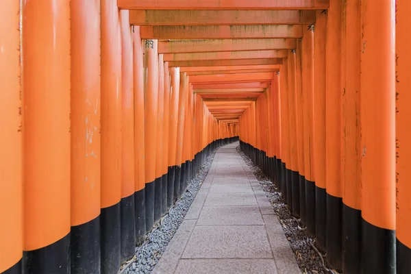 Тысячи Ворот Vermilion Torii Храме Фушими Инари Киото — стоковое фото