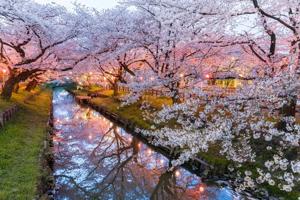 Flor Cerezo Sakura Japonés Con Pequeño Canal Temporada Primavera — Foto de Stock