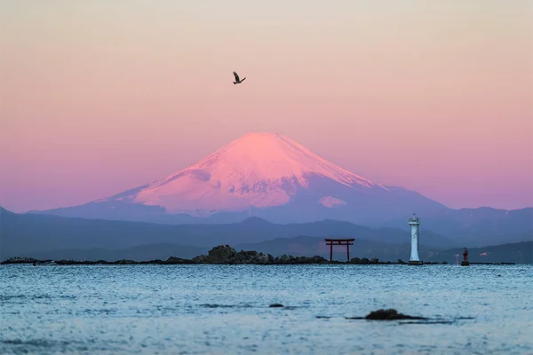 Marinmålning Berget Fuji Morgon Vintersäsongen Sagami Bay Yokosuka City Kanagawa — Stockfoto