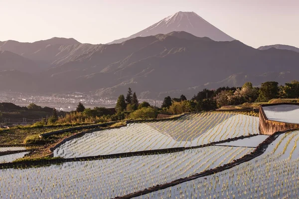 Japón Terraza Arroz Montaña Fuji Por Mañana Minami Alpes Nakano —  Fotos de Stock