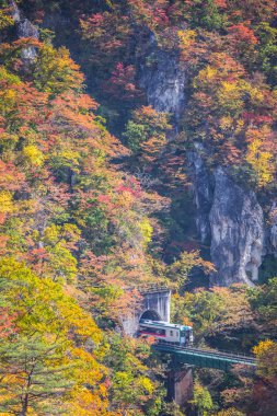 Rikuu satırında değil gorge Güz