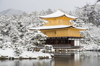 Zen temple Kinkakuji ( Golden Pavilion ) with snow fall in winter 2017. clipart