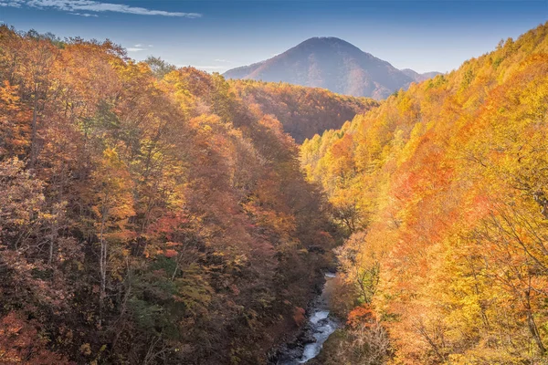 秋に福島で中津川渓谷 — ストック写真
