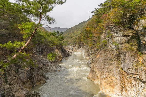 Ryuou Vallei Stroom Van Kinugawa Rivier Nikko Herfst — Stockfoto