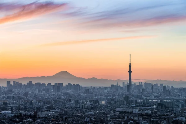 Tokyo Vista Città Con Fuji — Foto Stock