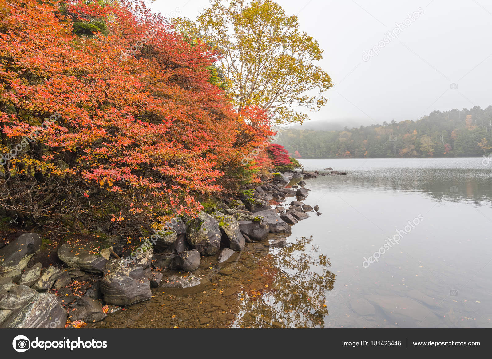 Ryuzu Caida Parque Nacional Nikko Otono Foto De Stock C Torsakarin