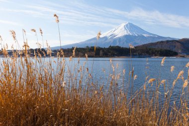Kış aylarında göl Kawaguchiko, Mt.Fuji