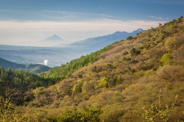 Montaña Fuji Con Niebla Matutina Primavera — Foto de Stock