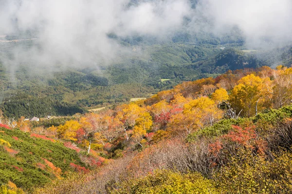 Ryuzu Vallen Nikko Nationaal Park Het Najaar — Stockfoto