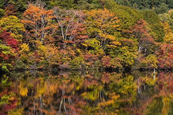 Ryuzu Pádu Nikko Národního Parku Podzim — Stock fotografie