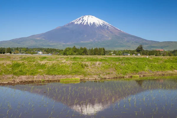 Monte Fuji Risaia Primavera — Foto Stock