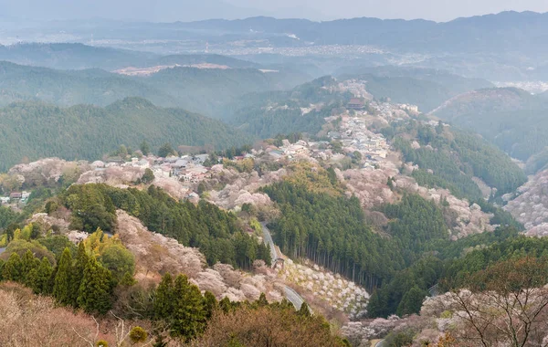 Yoshinoyama Sakura Cherry Blossom Hoře Jošino Nara Prefektura Japonsko Nejslavnější — Stock fotografie