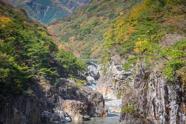 Water Stroom Van Kinugawa Rivier Vallei Van Ryuou Herfst Seizoen — Stockfoto