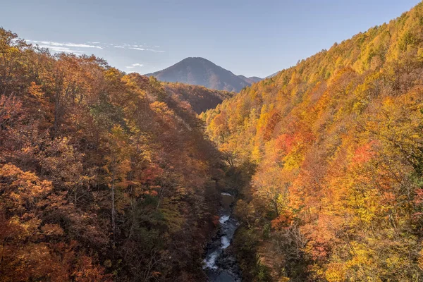 Güz Nakatsugawa gorge, Fukushima