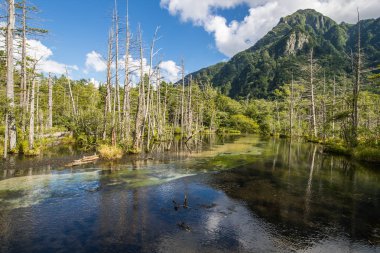 Kamikochi, Kuzey Japonya Alpleri'ndeki popüler görünümünü 