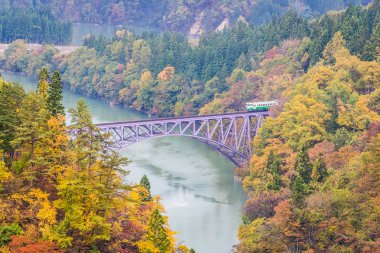 Tadami railway line and river in autumn season clipart