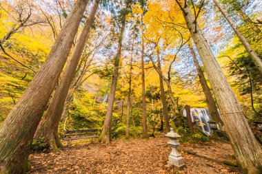Tatsuzawafudo Falls adlı Fukushima Güz