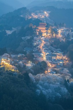 ışıklar ve sakura çiçeği Dağı Yoshino Nara Prefecture üzerinde
