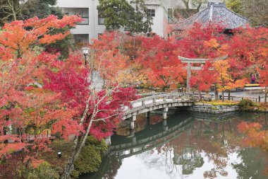 Eikando Budizm tapınakta Kyoto Sonbahar sezonu