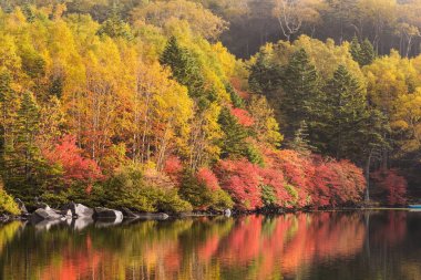 Nagano bölgesi Sonbahar sezonu gölette Shiragome