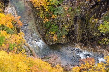 Değil Gorge renkli ağaçlarda Sonbahar sezonu