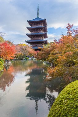 Kyoto bölgesi Sonbahar sezonu tapınakta Toji