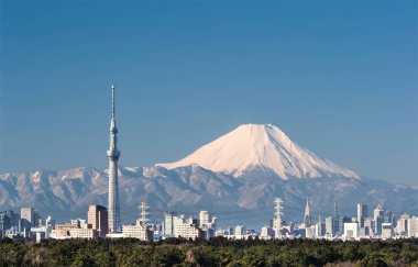binalar dağda Fuji arka plan ağaç Tokyo gökyüzü görünümü